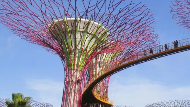 प्रतीकात्मक तस्वीर