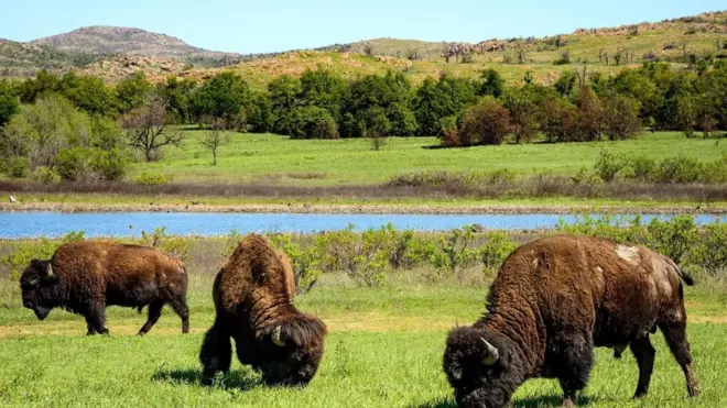 (图片来源:Zack Frank)