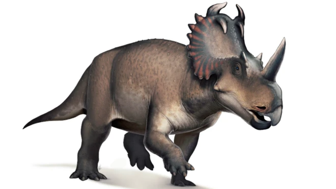 เซนโทรซอรัสเป็นไดโรเสาร์กินพืชชนิดหนึ่ง มีชีวิตอยู่เมื่อราว 77 ล้านปีก่อนในแคนาดา