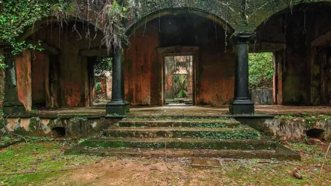 نیلما ورنگی