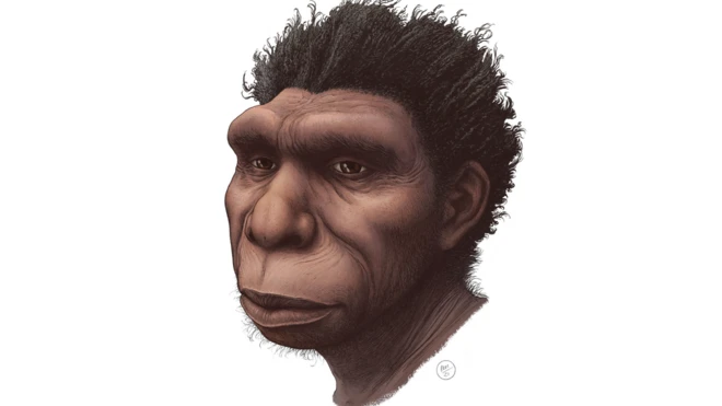 Ilustración del Homo bodoensis.