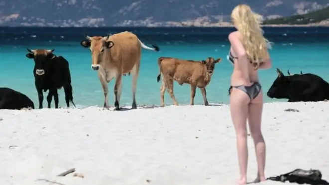 Меланін визначає колір волосся і шкіри у людей та тварин