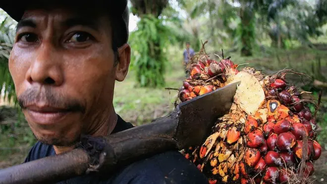 Limbah Sawit Dicoret Dari Daftar Berbahaya Pemerintah Pastikan Pengawasan Walhi Sebut 2302