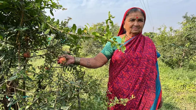 शेतकरी शालन धुमाळ