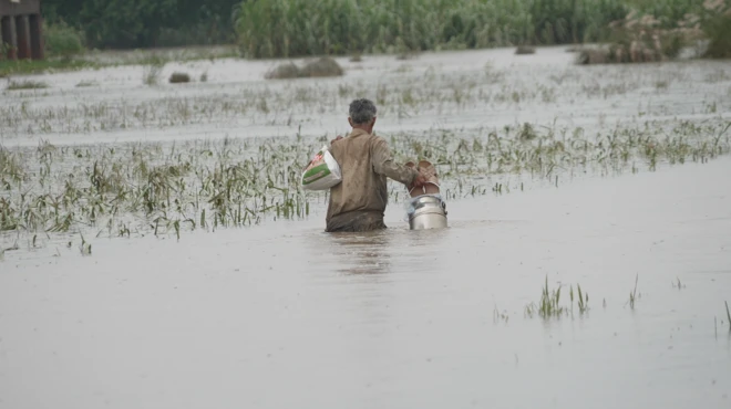 سیلاب، وسطی پنجاب، راوی، چناب