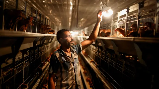 ينطبق القانون الجديد على 30 مليون عامل