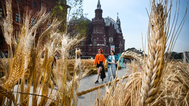 रूस-यूक्रेन युद्ध