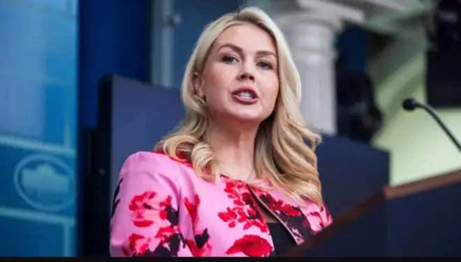 कॅरोलिन लेव्हिट