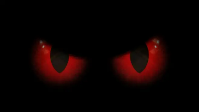 Dureewwan amantaafi hayyuuleen mormanis, hawaasi ogeeyyiin harkaa 'budaadha' jechuun ajjeechaa dabalatee dararaa garagaraa irratti raawwata