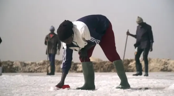 Marie Diouf, dans son marais salant