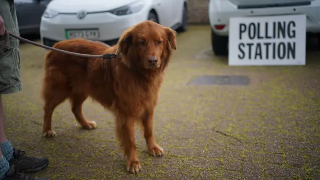 انتخابات شهرداری‌ها در انگلستان و ولز