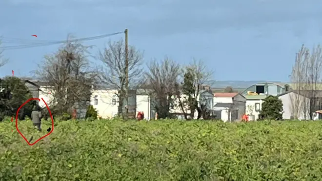 foto de uma pessoa caminhando de costas, numa paisagem de casas e folhagens.