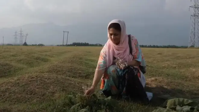 ऑर्गेनिक साबुन 