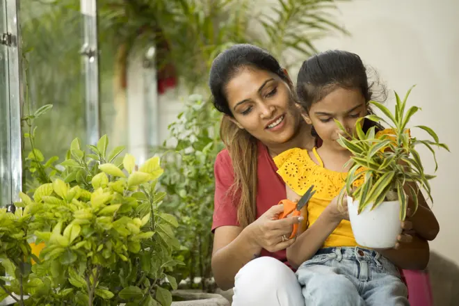 علامتی تصویر