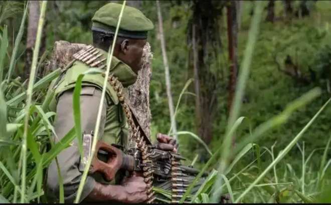 Umurwanyi afise inkoho mu buseruko bwa DR Congo