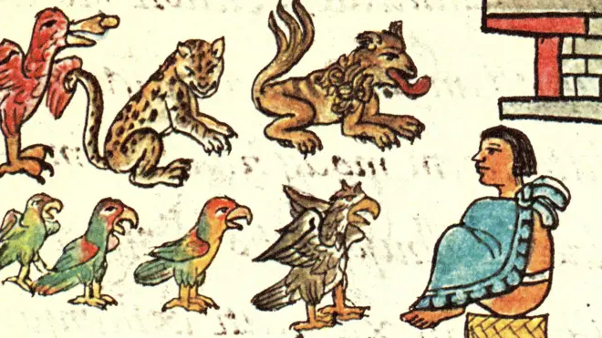 Una representación en el Códice Florentino de animales y un hombre en la época de los mexicas 