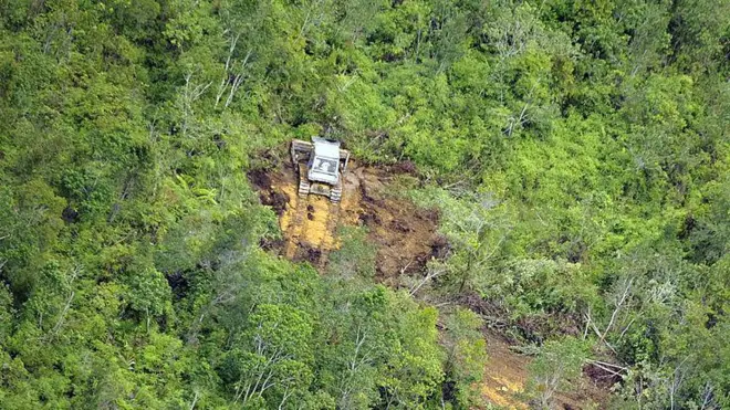 Gambar udara menunjukkan buldoser menebang pohon dan tumbuh-tumbuhan untuk perkebunan kelapa sawit di Kalimantan.