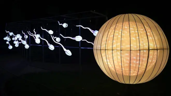 সারাবিশ্বেই পুরুষদের শরীরে শুক্রাণুর সংখ্যা কমে যাচ্ছে