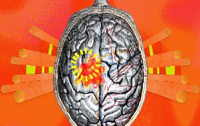 د انسان پر مغز د تودوخې اغېز