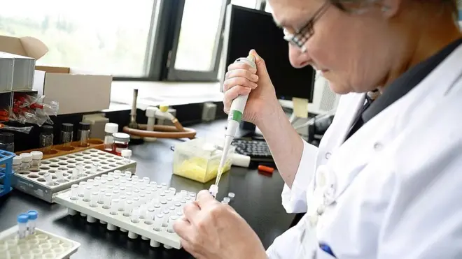 Belçika'da bakterilerle ilgili çalışan bir bilim insanı.