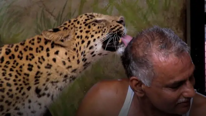 رجل يتقاسم منزله مع الفهود والضباع