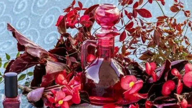 جب عثمانی سلطان عبد الحمید کا پہلی بار اس سے سابقہ پڑا تو انھوں نے غیر ملکی شراب پر مبنی خوشبو کے ساتھ اپنے روایتی گلاب کے پانی کو ملا دیا جس سے کولونیا تیار ہو گیا