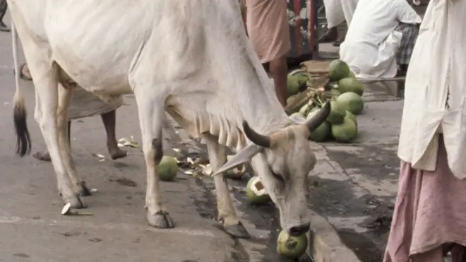 फ़ाइल फ़ोटो