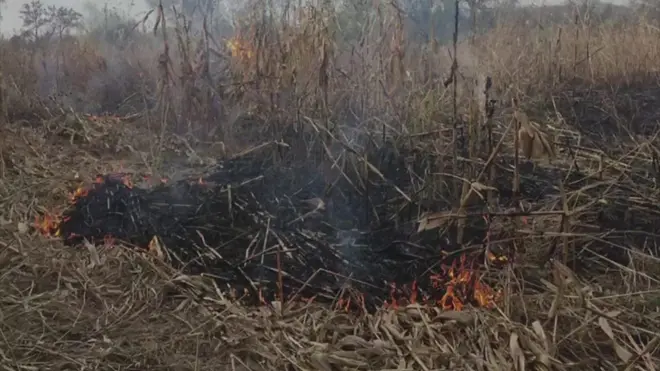 Šteta od požara u Centru za povratak prirodi