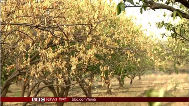 मराठवाड़ा