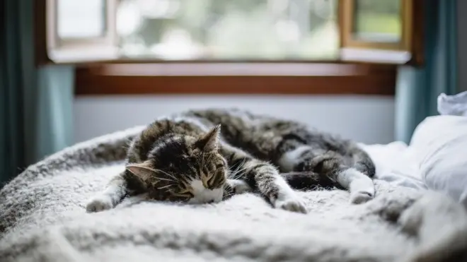 Могу овако читав дан... и хоћу