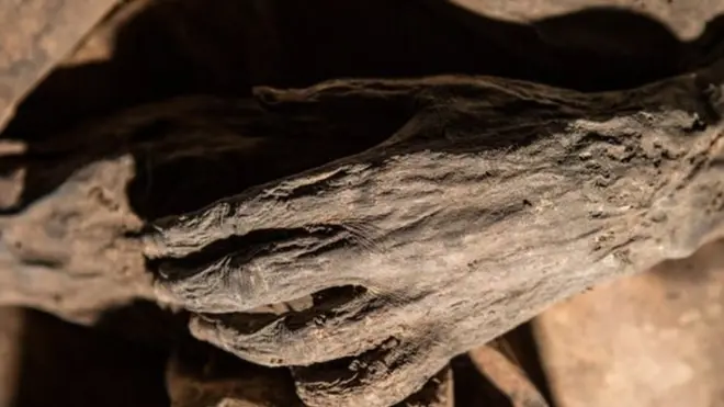 มัมมี่เด็กชายจากยุคศตวรรษที่ 17 ของลิทัวเนีย