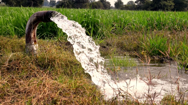 ખેતર