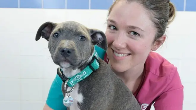 Macie kwa sasa anaendelea kupata nafuu