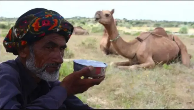 Caanaha geela waxa loo yaqaan 'dahab cad'