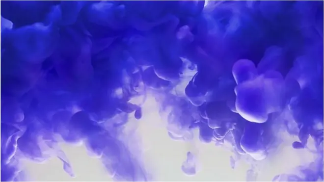 big idea: lentils and jabs