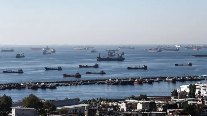 Сухогрузы с украинским зерном ожидают инспекции на рейде Стамбула