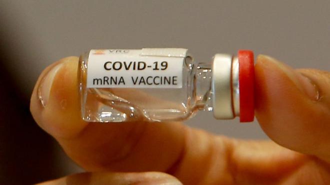 วัคซีนชนิด mRNA ที่พัฒนาโดยศูนย์เชี่ยวชาญเฉพาะทางวิจัยและพัฒนาวัคซีน จุฬาลงกรณมหาวิทยาลัย เริ่มทดสอบในลิงเมื่อเดือน มิ.ย. ที่ผ่านมา