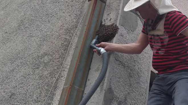 Ako zateknete ovakvu scenu najbolje da pozovete stručnjake