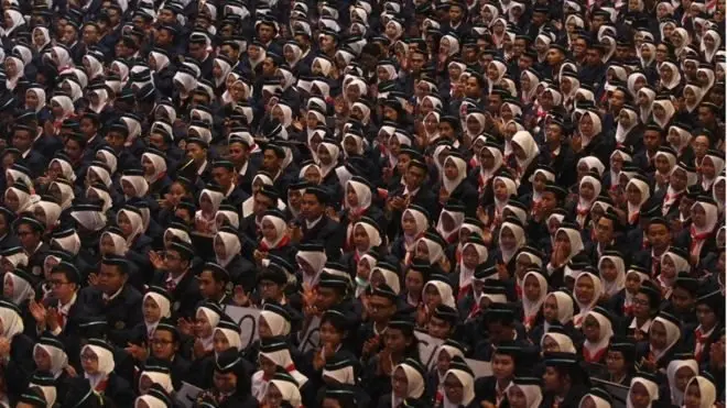 pisa, oecd, pendidikan