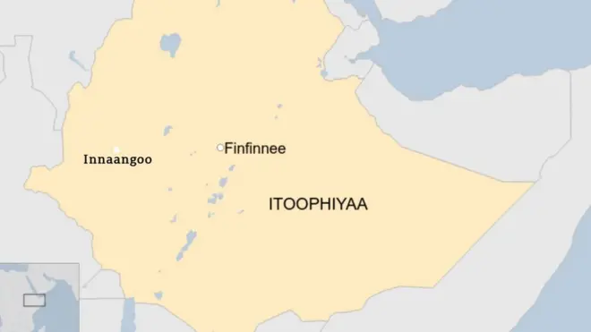 Danaa Itoophiyaa Lixa wallaggaa, Inaangoo agarsiisu