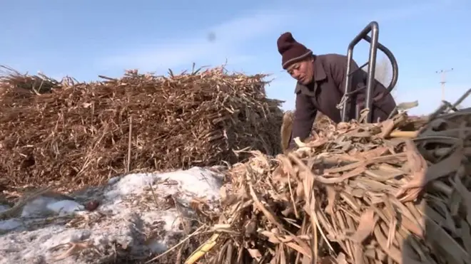 71歲的j佳木斯農民王佔凌(音譯)正在運送秸稈