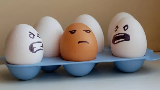 Яйца разного цвета
