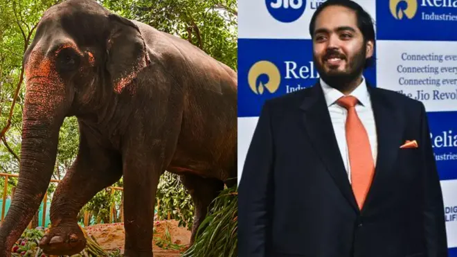  प्रातिनिधिक फोटो