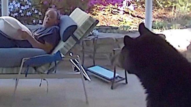 Encontroestratégia tênis de mesa bet365homem e urso