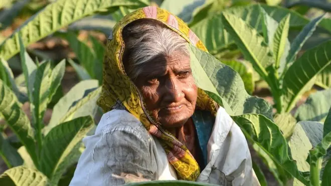 મહિલા ખેડૂત