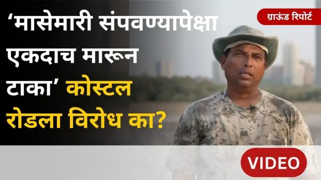 कोस्टल रोडसाठी कांदळवन तोडण्याला विरोध का? मच्छिमार काय म्हणतात?