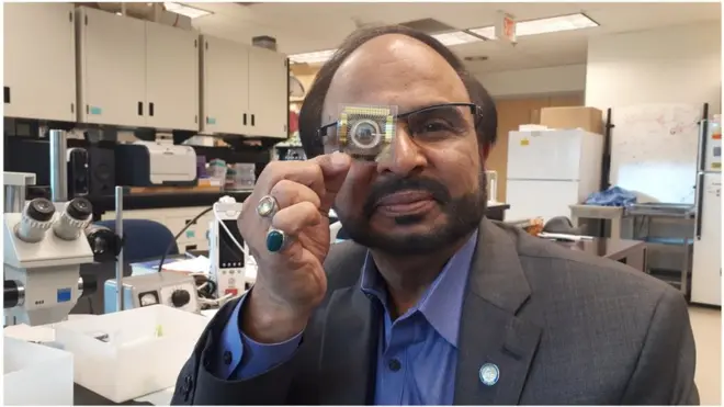 ڈاکٹر نوید امام سید