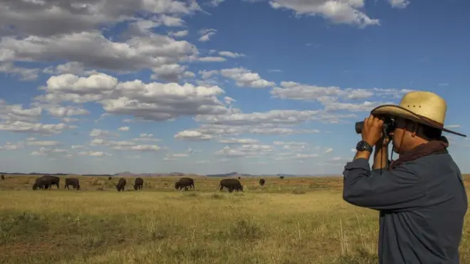 Los 5 principales terratenientes de EE.UU. tienen en conjunto casi 9.000.000 de hectáreas de terrenos.