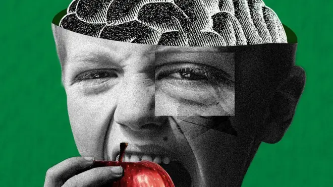 মানুষ আপেল মস্তিষ্ক