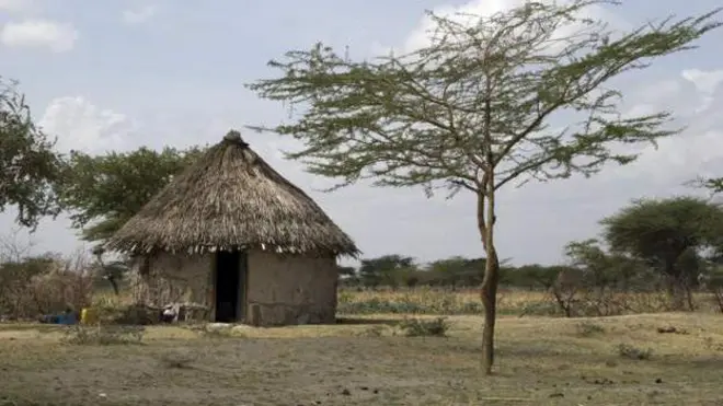 Namoonni dhukkubsatan goodoo keessa tursiifamu